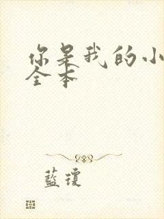 你是我的小确幸全本