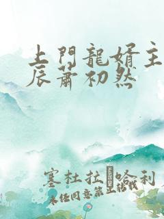 上门龙婿主角叶辰萧初然
