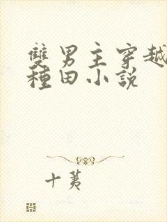 双男主穿越古代种田小说