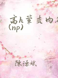 高h荤爽肉欲文(np)