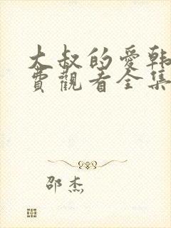 大叔的爱韩剧免费观看全集