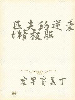 匹夫的逆袭txt精校版