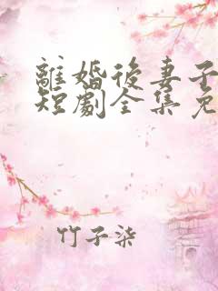 离婚后妻子后悔短剧全集免费观看