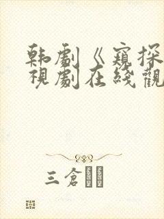 韩剧《窥探》电视剧在线观看