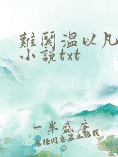 难哄温以凡桑延小说txt