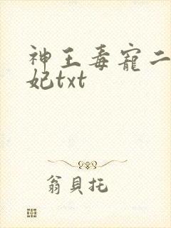 神王毒宠二嫁王妃txt