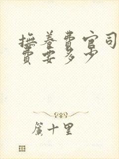 抚养费官司律师费要多少