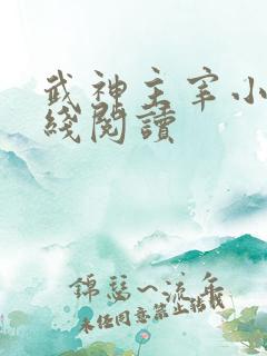 武神主宰小说在线阅读