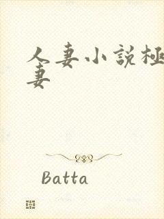 人妻小说极品人妻