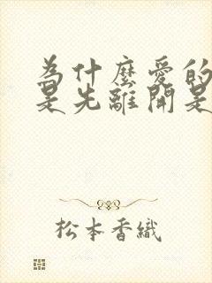 为什么爱的人总是先离开是什么歌