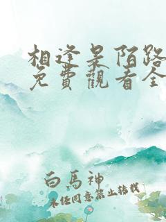 相逢是陌路短剧免费观看全集