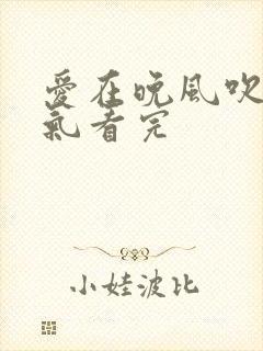 爱在晚风吹一口气看完
