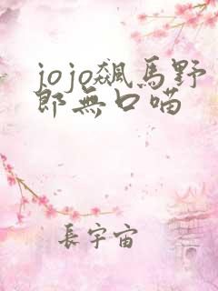 jojo飙马野郎无口喵