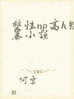 双性np高h粗暴小说