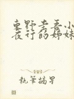 东野圭吾小说白夜行的姊妹篇