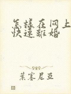 怎样在网上办理快速离婚