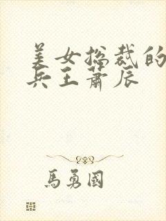 美女总裁的贴身兵王萧辰