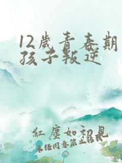 12岁青春期男孩子叛逆