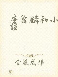 唐舞麟和小舞小说