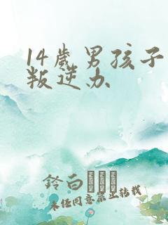 14岁男孩子的叛逆办