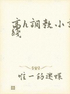 高h调教小说在线