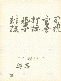 离婚打官司争夺孩子抚养权