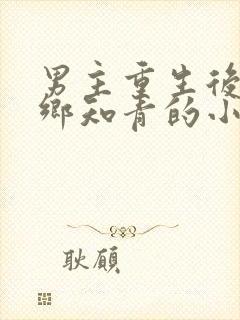 男主重生后成下乡知青的小说