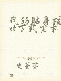 我的贴身校花txt下载完本