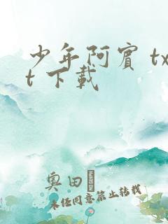 少年阿宾 txt 下载