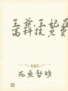 王爷,王妃在玩高科技免费阅读