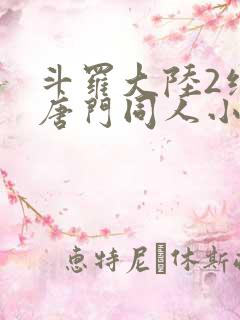 斗罗大陆2绝世唐门同人小说