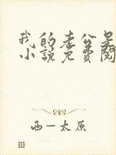 我的老公是酷哥小说免费阅读全文