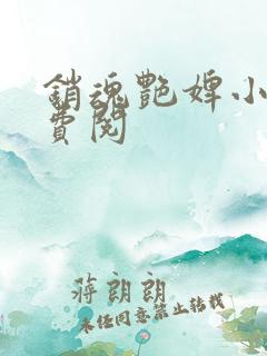 销魂艳婢小说免费阅