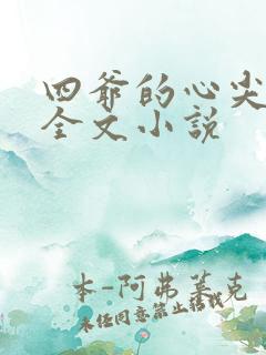 四爷的心尖宠妃全文小说
