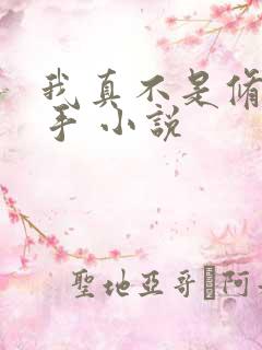 我真不是修仙高手 小说