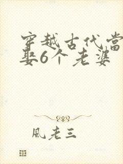 穿越古代当秀才娶6个老婆