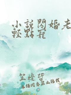 小说闪婚老公:轻点宠