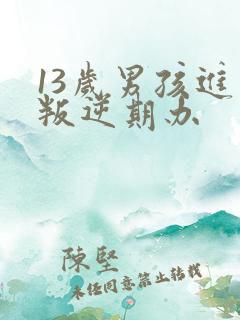 13岁男孩进入叛逆期办