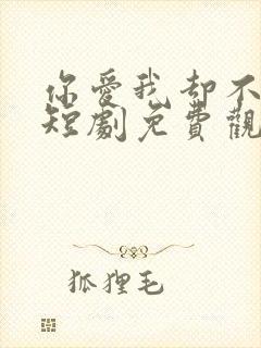 你爱我却不懂我短剧免费观看