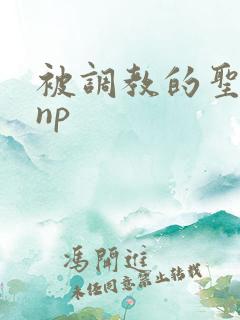 被调教的圣子文np