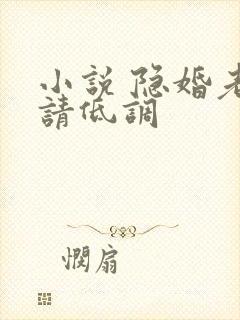 小说 隐婚老公请低调