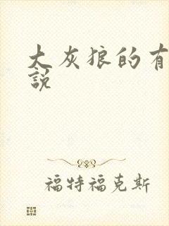 大灰狼的有声小说