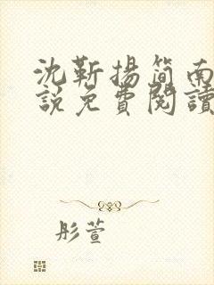 沈靳扬简南栀小说免费阅读最新章节