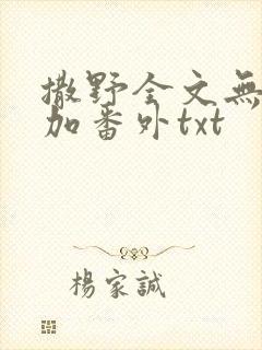 撒野全文无删减加番外txt