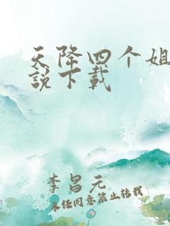 天降四个姐姐小说下载
