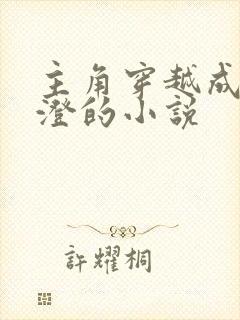 主角穿越成为高澄的小说