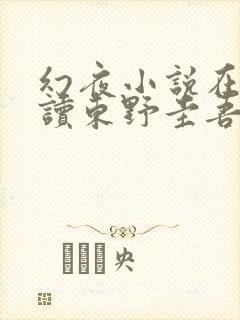 幻夜小说在线阅读东野圭吾