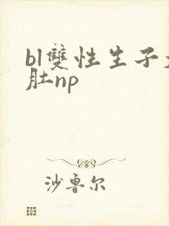 bl双性生子大肚np