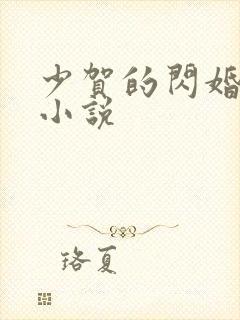 少贺的闪婚暖婚小说