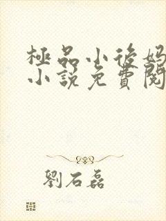 极品小后妈言情小说免费阅读